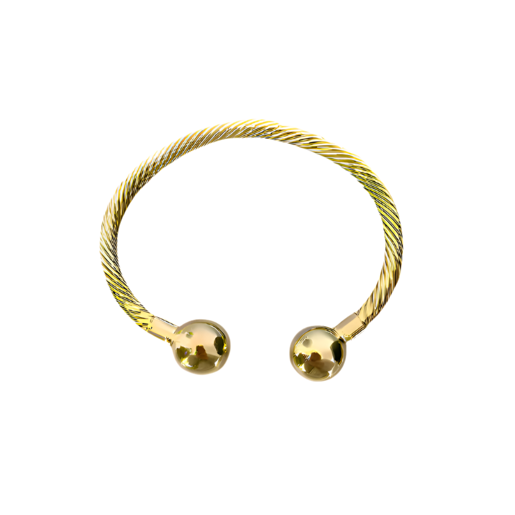 Zion Spiral Bangles