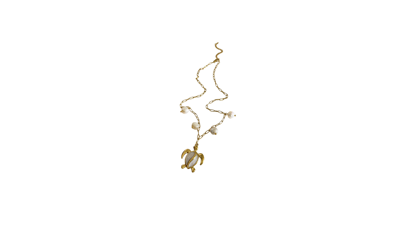 My Tortoise Necklace