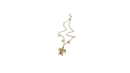 My Tortoise Necklace